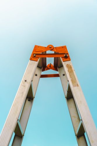 pexels defrinomaasy 33658078 (1)